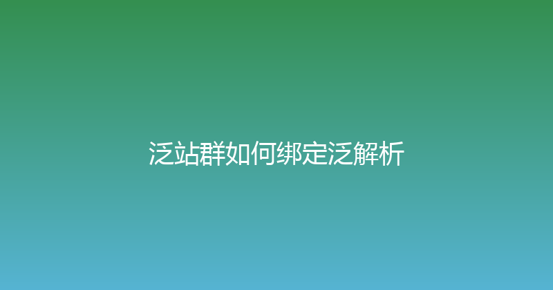 泛站群如何绑定泛解析 封面图