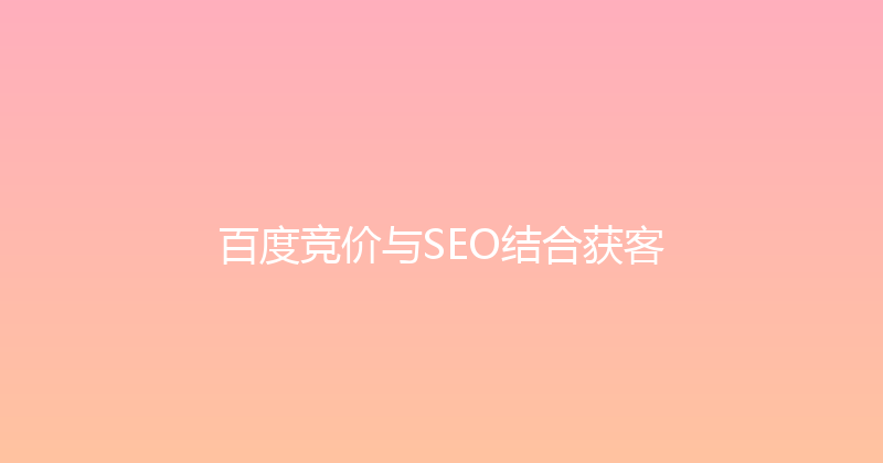 百度竞价与SEO结合获客 封面图