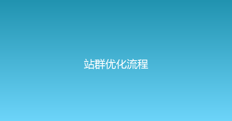 站群优化流程 封面图
