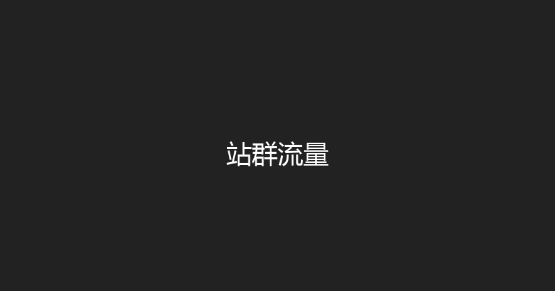 站群流量 封面图