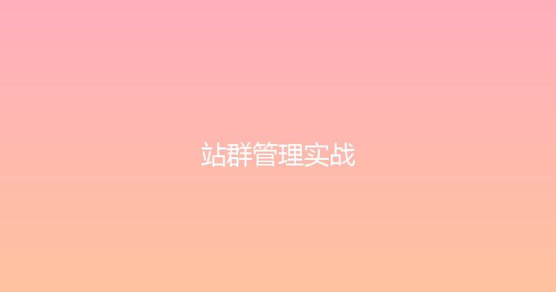 站群管理实战 封面图