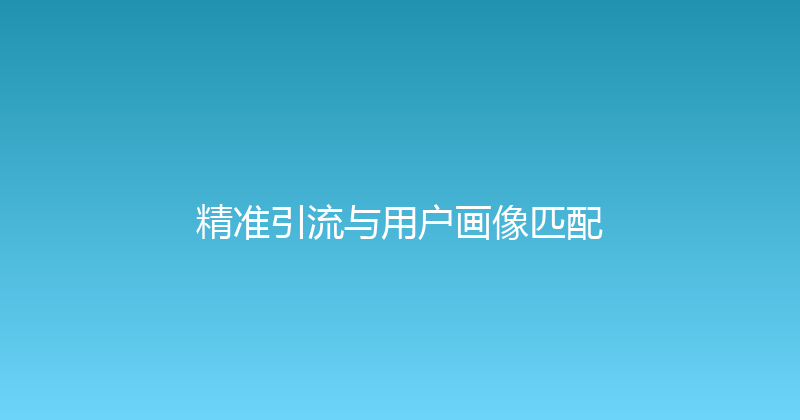 精准引流与用户画像匹配 封面图