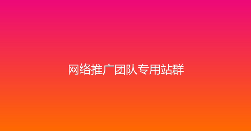 网络推广团队专用站群 封面图