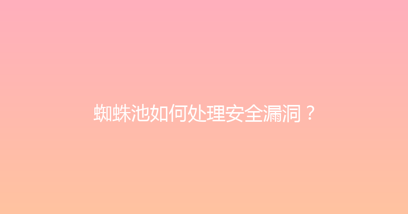 蜘蛛池如何处理安全漏洞？ 封面图